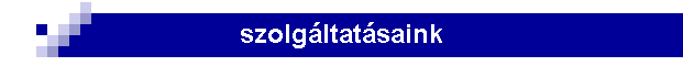 szolgltatsaink